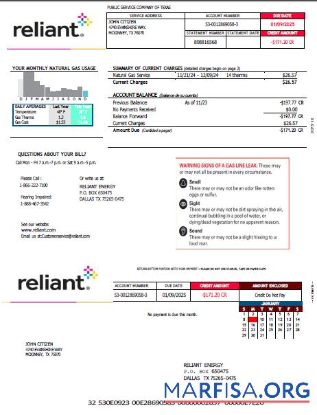 Blank USA Reliant Energy utility bill template in Word and PDF formats